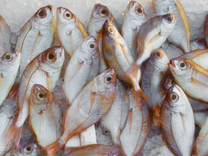 catch-fish-fish-market-freeze
