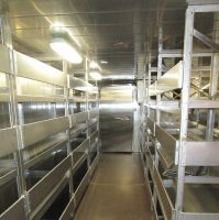 IMG_04602 IMG_04602